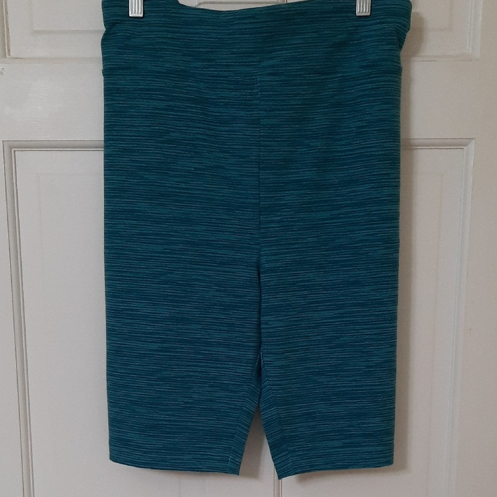 Terra & Sky Striped Plus Teal Bike Shorts Sz 4X